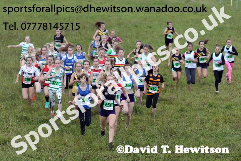 Girls under-15s, North East Harrier League, Cramlington. Photo: David T. Hewitson/Sports for All Pics